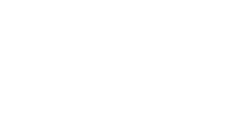 Goethe Institut